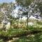 Tribu EcoHostal
