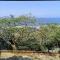 Mark's View - KwaDukuza