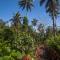 Maravu Taveuni Lodge - Matei