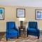 Comfort Inn & Suites St Pete - Clearwater International Airport