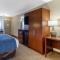 Comfort Inn Nashville - Opryland Area - Нэшвилл