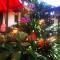 Tinto Hostel