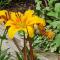 Cottage Grove Homestay rooms