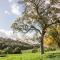 Conkers' Cottage - Church Stretton