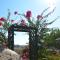 Finca Jorsan