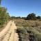 Parenthèse au bord de l’étang - Bages