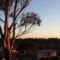 Limestone Coast Tourist Park