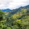 Hoang Su Phi Lodge - Ha Giang