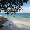 Runa Runa The Best Samed Island