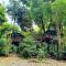 Our Jungle House