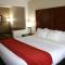 Comfort Inn Wichita Falls Near University