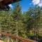 Apartment Grey Mountain - Zlatibor
