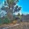 Letsatsi Game Lodge