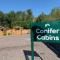 Conifer Cabins