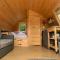 Conifer Cabins