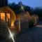 Conifer Cabins