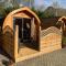Conifer Cabins