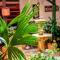 Nacuma Garden Hostel - Casa Nacuma