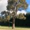 Ashburton Holiday Park