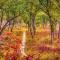 Secluded Fenced Cottage W Dune Top Hot Tub Near Hiking Dog Friendly