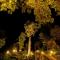 บ้านรักษ์วนา