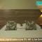 Terra D` Ouro Apart Hotel
