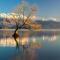 The Moorings Motel and Apartments - Wanaka