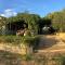 Stone Holiday Homes Stankovci with pool and Mediterranean gardens