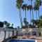 Apartamentos Oasis Sol