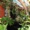 Zoete Inval Travelers Lodge Guesthouse Hermanus