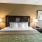 Comfort Inn Warner Robins - Robins Air Force Base Area