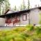 Usva Cabins Ruka - Lumikonpesä 4 B