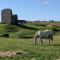 Luxury Lodges in Doolin Village with Hot Tubs