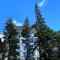 BLUE mountain