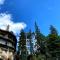 BLUE mountain