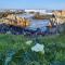 Eirene Place