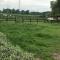 Horseinaround