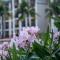 Great Bay Condominiums located at The Ritz-Carlton Club, St Thomas