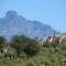 Rooiberg Wild Private Game Reserve - Ladismith