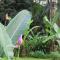 Sand Dollar Beach Bed & Breakfast