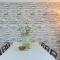 Holiday Home Tijan by Interhome