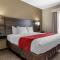 Comfort Suites near Robins Air Force Base - Warner Robins