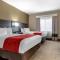 Comfort Suites near Robins Air Force Base - Warner Robins