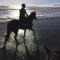 Horseinaround