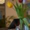 Goethe Hotel Messe by Trip Inn Foto: Goethe Hotel Messe by Trip Inn