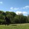 Killarney Glamping at the Grove, Suites and Lodges - 基拉尼