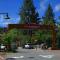 Holiday Inn Resort The Lodge at Big Bear Lake by IHG - بيغ بير لاكي