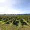Domaine de Sévanes photo 20