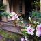 Idle & Wild Chalet