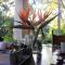 Idle & Wild Chalet